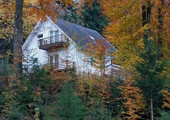 Sucevita Resort | Șoaptele pădurii & Căsuța din pădure