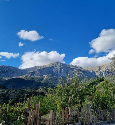 Distomo-Arachova-Antikyra House | Αγροτικό σπίτι agrikia Δύο υπνοδωματιων