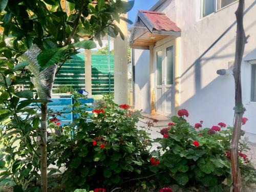 Baku Apartment | Баку приморский поселок Бузовна