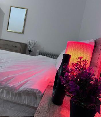 Ha'il Hotel | شقة ورد الخزامى