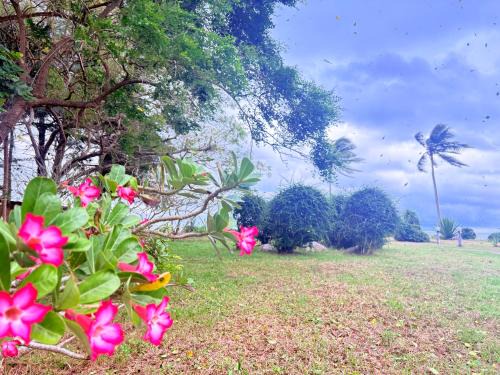 Lamae Apartment | พฤกษาวารี รีสอร์ท