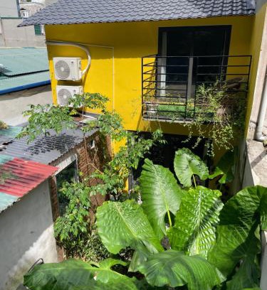 Cat Hai Apartment | Ốc Homestay Cát Bà