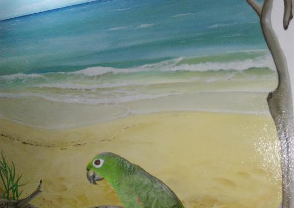 Les Abymes House | 1 à 3 chambres proche aéroport