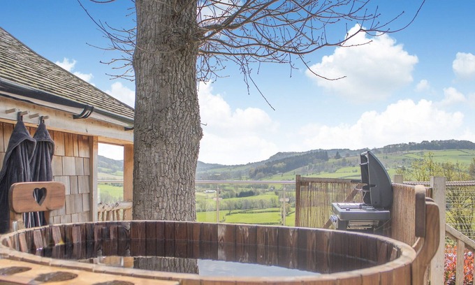 Cyfronydd Cottage | 1 bedroom accommodation in Llangyniew