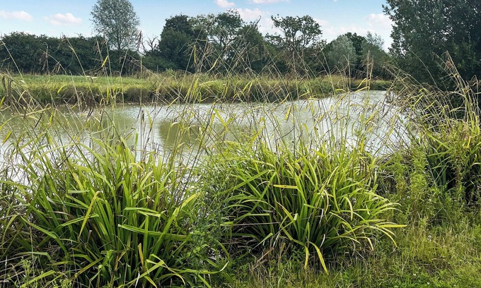 Woodbridge Cottage | 1 bedroom accommodation in Framlingham