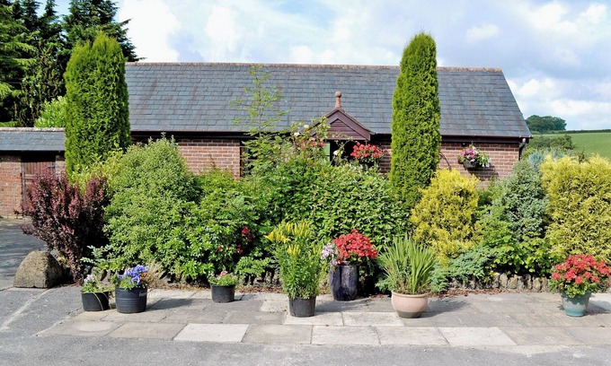 Evershot Cottage | 1 bedroom accommodation in Evershot