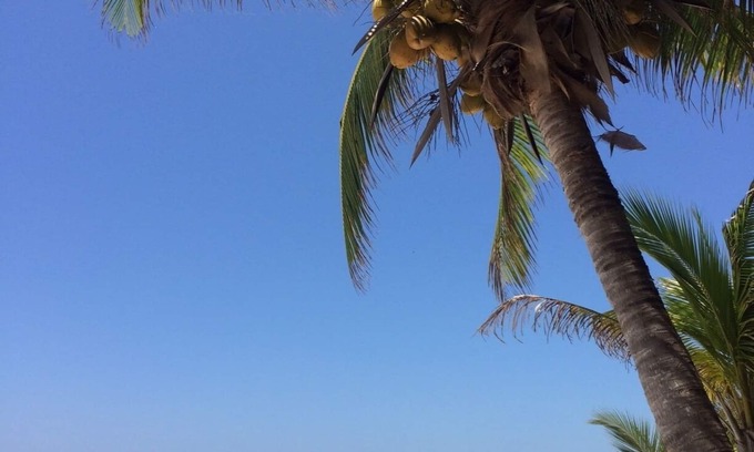 Soliman Bay Apartment | 1 Bedroom on Best Sandy Beach in Tulum. Snorkels, Kayaks, Paddleboards Included