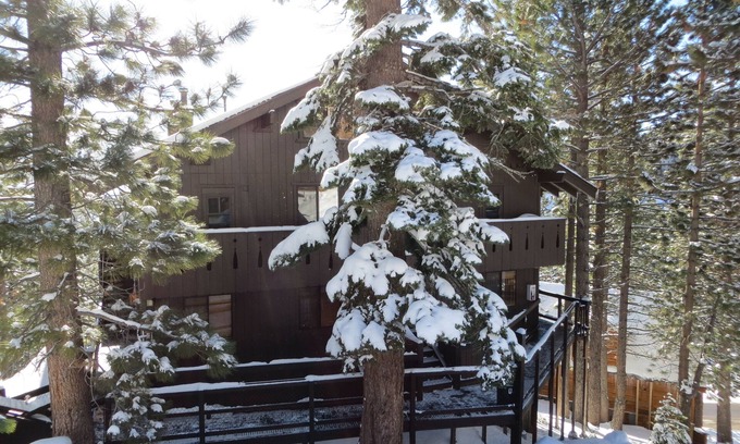 Tahoe Village Condo | #1 CHOICE: Tahoe Alpine Cabin, Heavenly Ski Lifts, Fireplace, shared Hot Tub