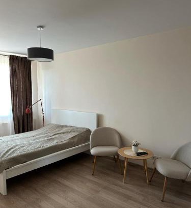 Siauliai Apartment | 1 kambario butas self check in