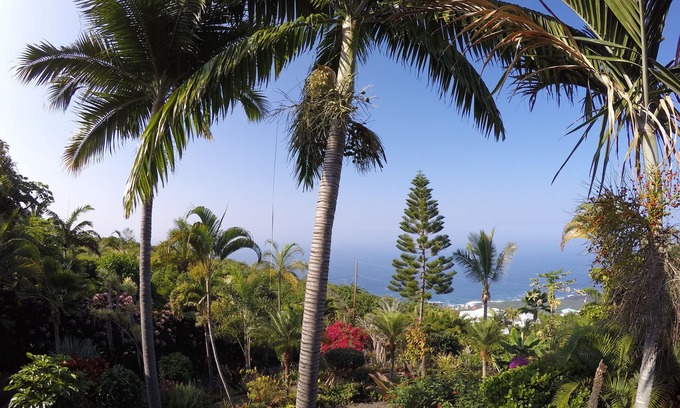 Kona Paradise Apartment | 1000 Ft Elevation Overlooking The Beautiful Pacific Ocean