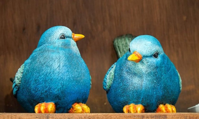 Urdesa Apartment | 104 - Prague Apts 5 pax Consulate USA *Parking*