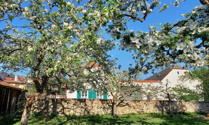 Kojetice Other | 160 m² Accommodation ∙ 5 bedrooms ∙ 22 guests