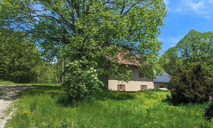 Hotonnes Other | 18th century farmhouse in the heart of a ski resort