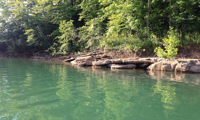 Albany House | 2 .0 miles from Wolf River Resort on Dale Hollow Lake