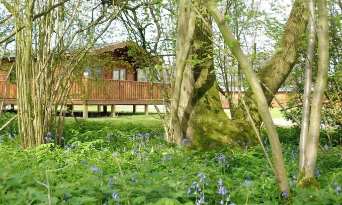 Winchester Cabin | 2 bedroom, 5 star, award winning Scandinavian Lodge (sleeps 4)