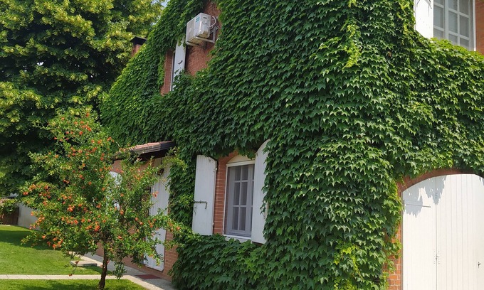 Drizzona Apartment | 2 Bedroom Apartment in Castelfranco D'oglio
