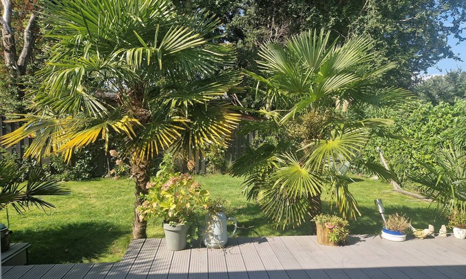 Lemmer House | 2-bedroom palm tree house in fantastic Lemmer with WiFi