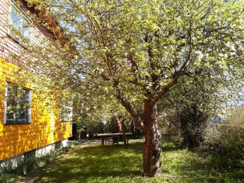 Moss Municipality Apartment | 2 Bedrooms Furnished Apartment - Close to everything in Moss