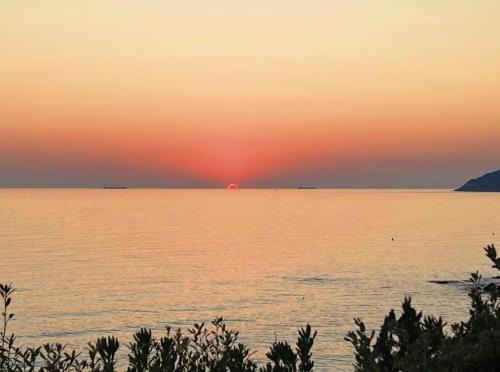 Rosignano Marittimo Apartment | 2 Tuscan seafront apartments with private access to sea