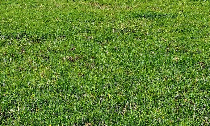 Gillham RV Rental | 2024 Total Solar Eclipse Dry RV Camping