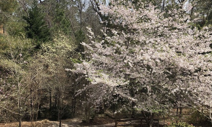 Pinehurst House | 2024 US Open Pinehurst NC Rental. Exclusive Pinehurst Gated Community