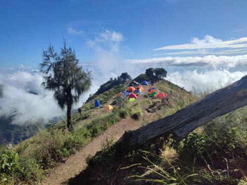 Bayan Other | 2Days Shared Camping At Mount Rinjani