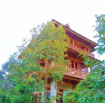 Kecamatan Sikur Cabin | 361 Alam