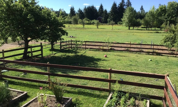 Toledo Apartment | 3G Farms studio Gateway to Mount St. Helens & Cowlitz River