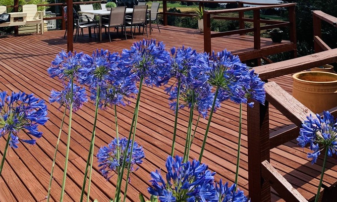 Trevallyn House | 4 bedroom house with spectacular views and short walk to the beautiful gorge