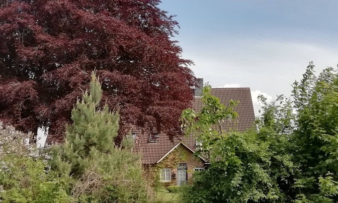 Vogelsdorf Apartment | 4- Zimmer- Wohnung: "talblick" im Buchenhof- Wagrien