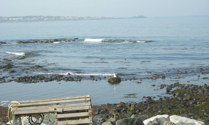 York Harbor House | 40' from the ocean! Fri check in. Magnificent views of the coast and lighthouse!