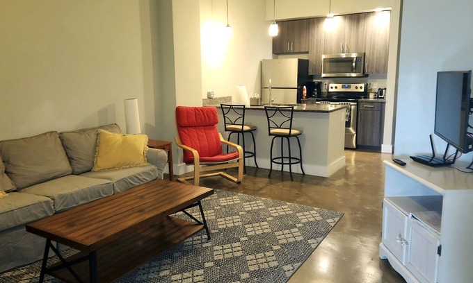 Monroe Ward Condo | 402 Heart of the Arts in Downtown RVA near MCV VCU Convention Center