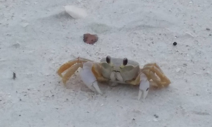 Naples Park House | 5 min to Bchs. Beach Pass Included! Avail Jan 2026 21 nt min.