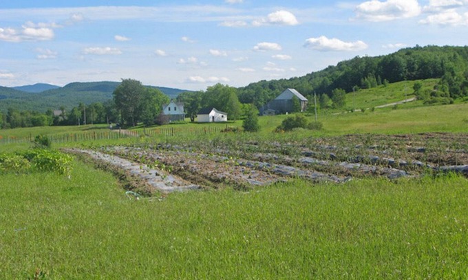 Sutton House | 5 minutes to Sutton! Family-sized house with a stunning view of Mont Sutton