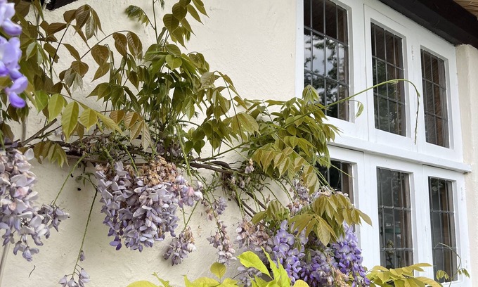 Fivehead Apartment | 5* Somerset, 1600's thatched, private annex. Pet friendly!n8m to M5 and Taunton.
