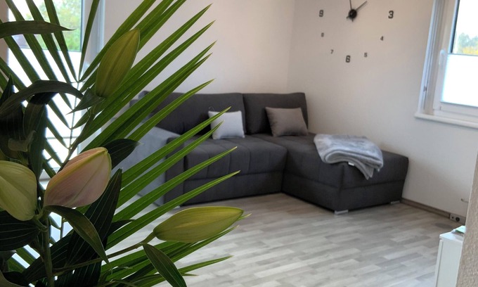 Beltheim Apartment | 5 star apartment Hunsrück Harmonie