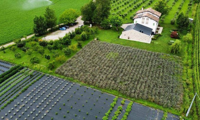 Ponti sul Mincio House | 52 m² Farmhouse ∙ 4 guests
