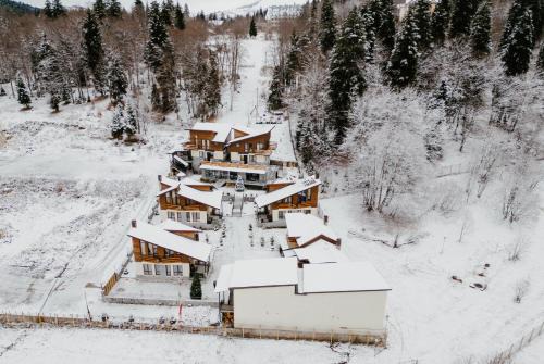 Bakuriani Ski Chalet | 7 Cottage in Bakuriani