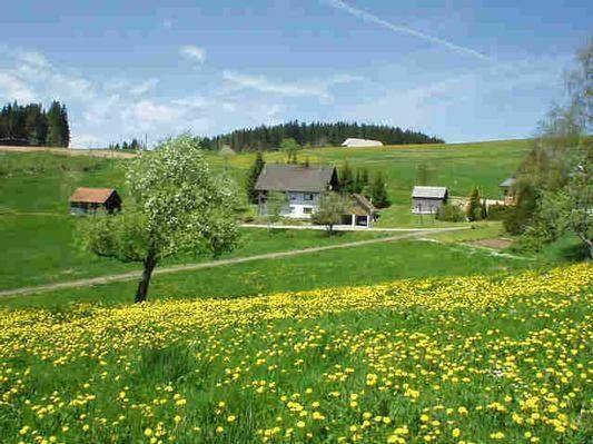 Schwarzenbach Apartment | 70 m² Apartment ∙ 2 bedrooms ∙ 5 guests