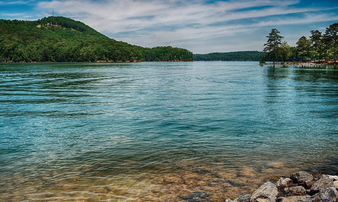 Cartersville House | 71 unit- B