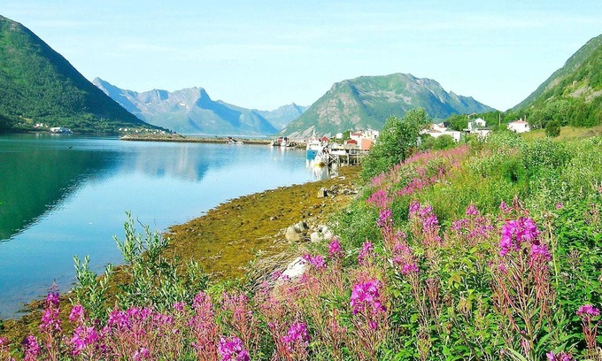 Sifjord House | 8 person holiday home in Kaldfarnes