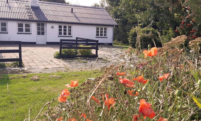 Lokken House | 8 person holiday home in Løkken-By Traum