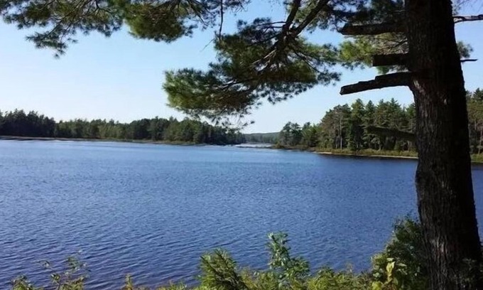 Deblois Cabin | 900 sq/ft off-grid cabin nestled on Upper Cranberry Lake. Pet Friendly!