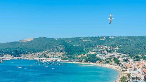 Santiago Apartment | 903 by the sea