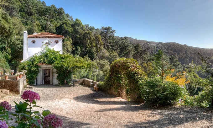 Sintra House | A 3 Storey Country House Nestled in 10 Hectares of Woodland