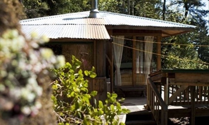 Salt Spring Island Cabin | A Happy Nest up in the trees, unique Salt Spring Cottage close to town