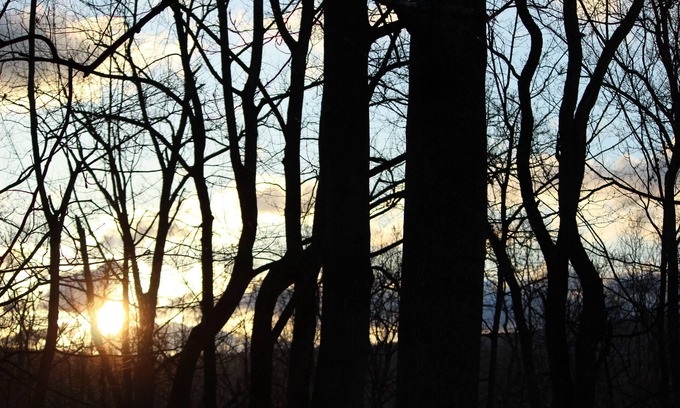 Wardensville Cabin | A little slice of heaven in gorgeous Lost River, West Virginia!