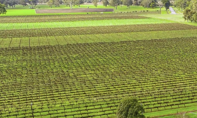 Penola House | A Penola-Coonawarra Villa