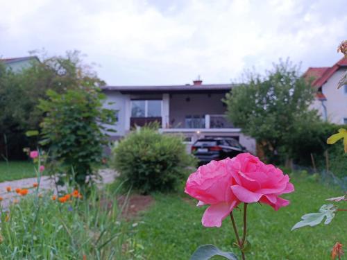 Graz Apartment | A place to be - Ruhelage mit gratis Parkplatz