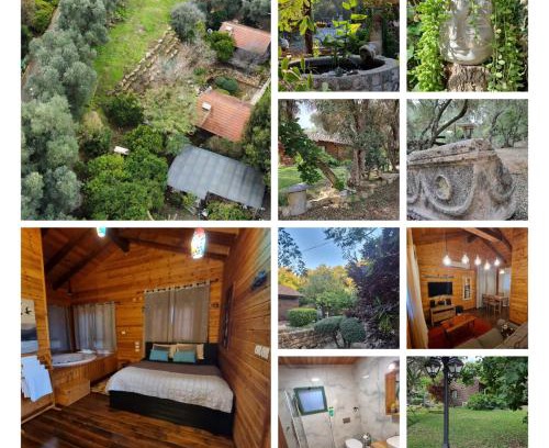Zippori Cabin | A Place To Dream